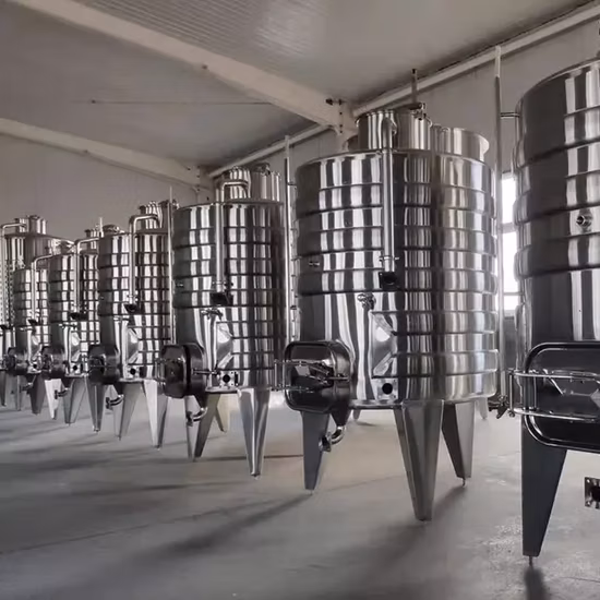 500L 1000L 2000L Iogurte Industrial Cerveja Vinho Tanque de fermentação anaeróbica de aço inoxidável